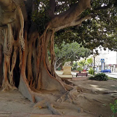 Estudio Rambla Alicante