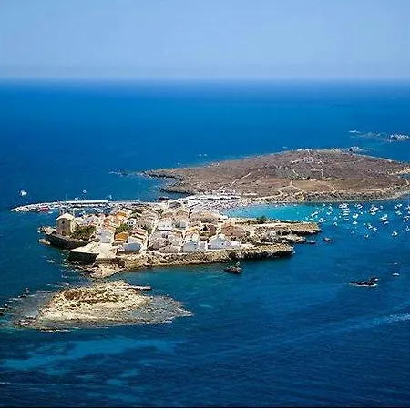 Lejlighed Estudio Rambla Alicante